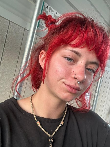 Abbymeows Image